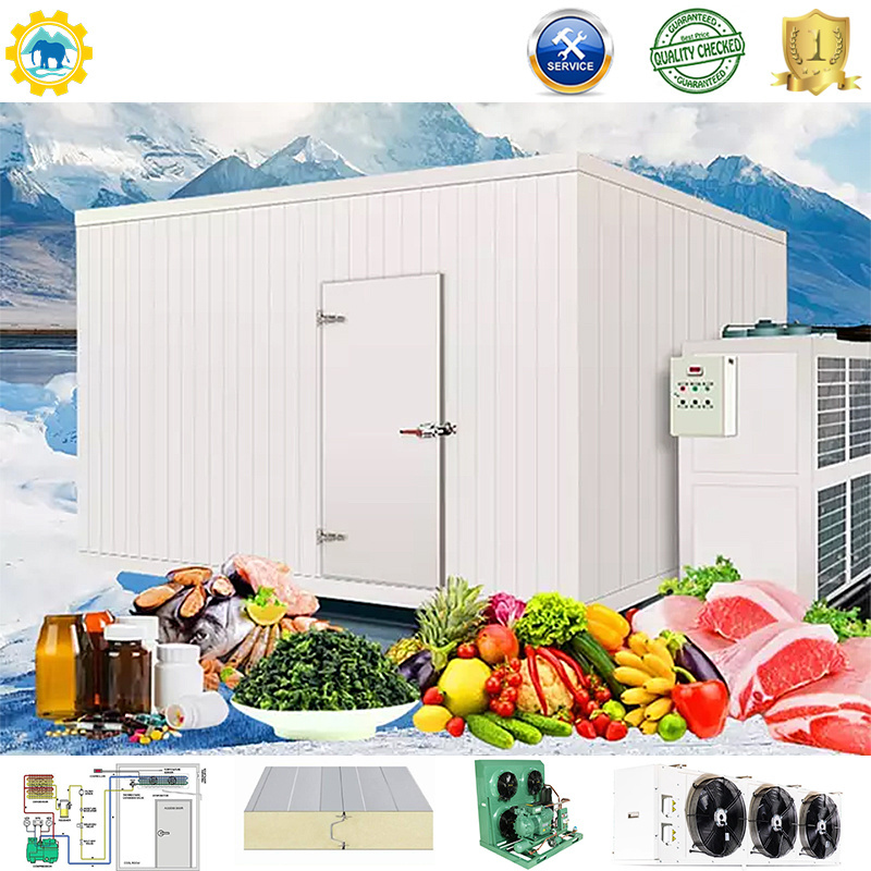 Small mini walk in cooler  monoblock compressor condensing unit integrated remove freeze cold room cold storage