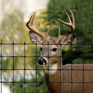 Black Deer Fence Netting Plastic Extruded Catch Bird Net