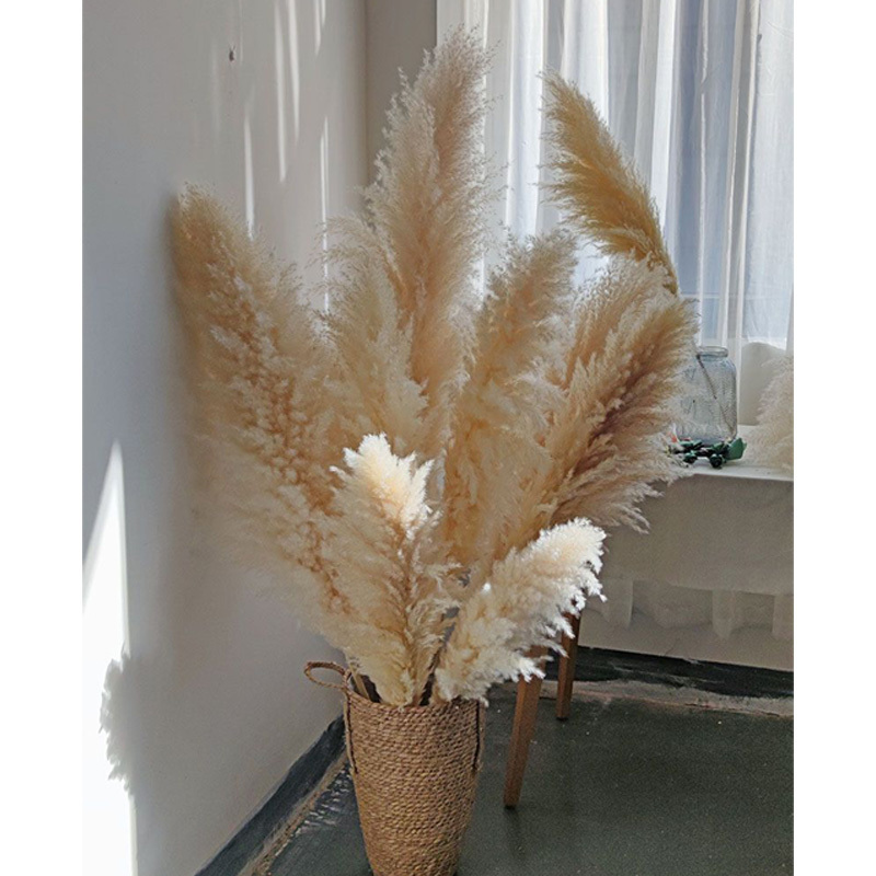 Ychon Giant Artificial Flowers Hot Sale Natural White Pink Wedding Home Hotel Decoration Dried Pampas Grass