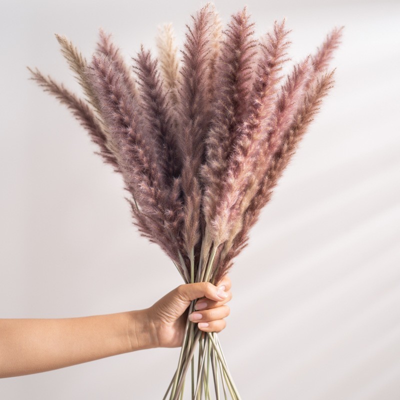 Ychon Giant Artificial Flowers Hot Sale Natural White Pink Wedding Home Hotel Decoration Dried Pampas Grass