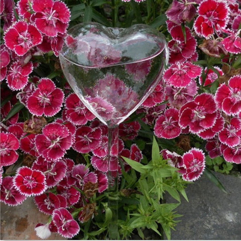 Automatic Flower Watering Device Plant Waterer Self Watering Globes Bird Shape Hand Blown Clear Glass Aqua Bulbs