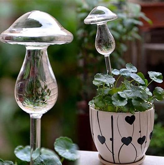 Wholesale Customized Mushroom Shape Glass Plant Waterer Clear Self Watering Devices Globes