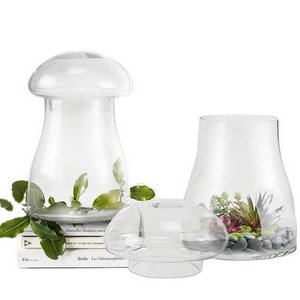 Wholesale Customized Glass Mushroom Terrarium Air Plants Containers Succulents Hydroponics Flower Vase With Glass Lid