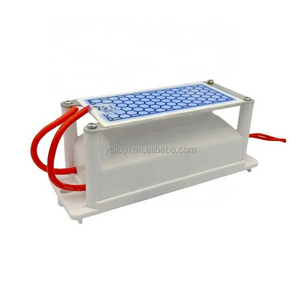 220V/110V 5 10 15 20g Ceramic Ozone Generator Double sided Corona Discharge Ozone Generator