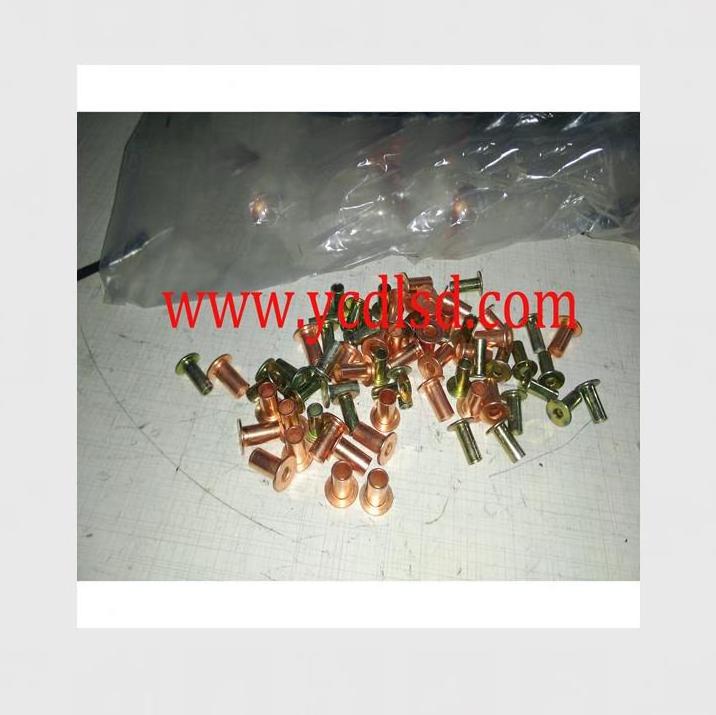 Brake pad rivet  for    QY25K   QY50K  QY70K  crane