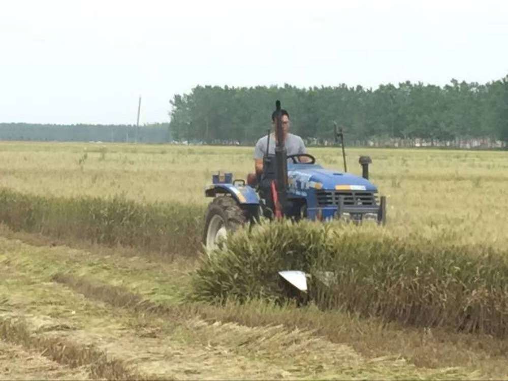 Tractor Front Mounted reaper mow binder Harvester and cutter-rower