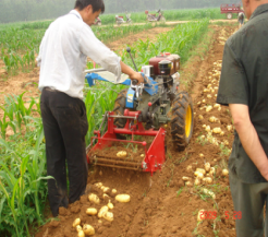 4U-1 Agricultural Automatic Loading Harvester Potato Sweet Potato Digger Harvester