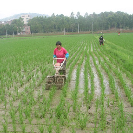 Gasoline engine double rows paddy rice weeder