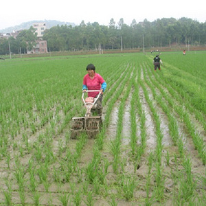 Gasoline engine double rows paddy rice weeder