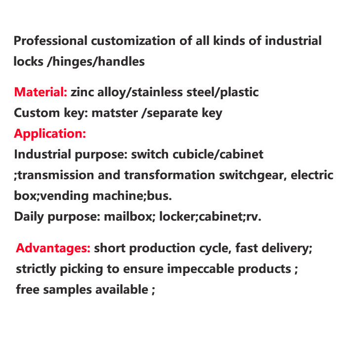 Factory Whole Sale Top Quality Znic Stainless Steel Locker Locks Panel Lock With Key For Cabinets