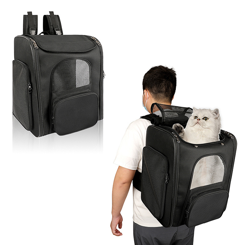 ISO BSCI Factory Eco-Friendly Breathable Folding Airline Approved Large Capacity Luxury Pet Backpack Cat Bag Carrier