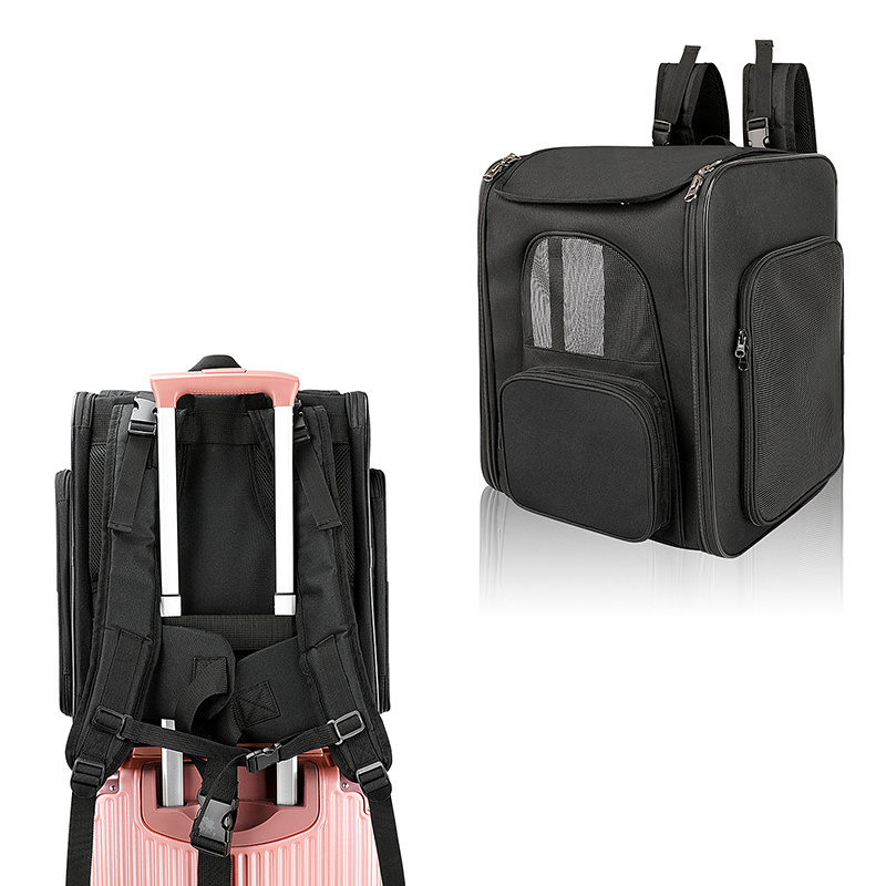 ISO BSCI Factory Eco-Friendly Breathable Folding Airline Approved Large Capacity Luxury Pet Backpack Cat Bag Carrier