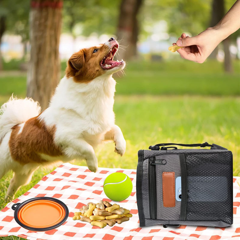 Hot-Selling Pet Training Supplies Waist And Shoulder Strap Treat Training Bag With Waist Belt Dog Treat Pouch