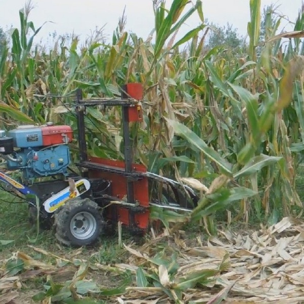 grass cutting machine used harvest sweet corn harvesting mini maize sugarcane harvester