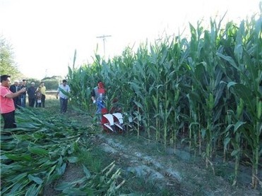 small tractor harvester  diesel engine hand walk behind tractor harvester small sweet corn harvester machine