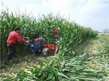 small tractor harvester  diesel engine hand walk behind tractor harvester small sweet corn harvester machine