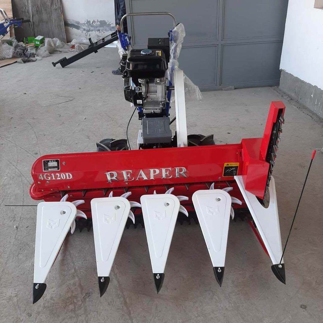 mini self-propelled power reaper machine to harvest animal forage feeding grass alfalfa