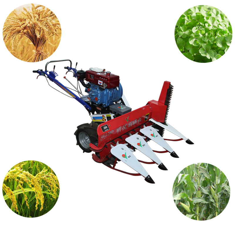 mini self-propelled power reaper machine to harvest animal forage feeding grass alfalfa