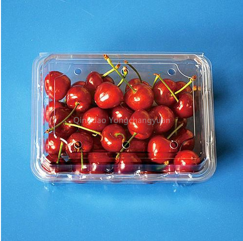 Clear 450g Plastic Box Tomatoes Packing Box Fruit Vegetable Transparent PET Packaging Box