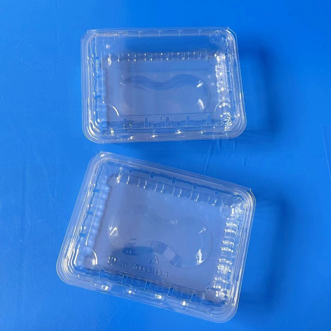 Clear 450g Plastic Box Tomatoes Packing Box Fruit Vegetable Transparent PET Packaging Box