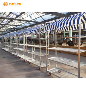 Customization zinc steel multi-layer greenhouse horticultural plant flower cart cc danish trolley for sale