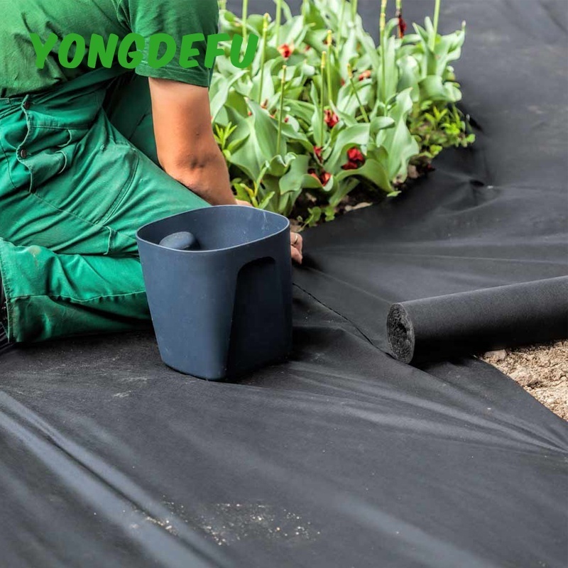 BSCI factory black pp spunbonded nonwoven agricultural anti weed mat fabric