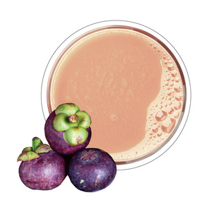 MANGOSTEEN juice concentrate Wholesale 2023 New High Quality