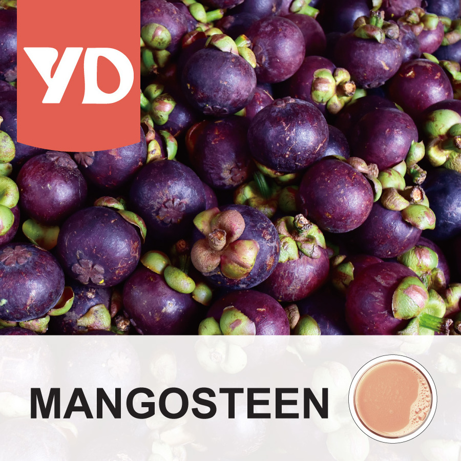 MANGOSTEEN juice concentrate Wholesale 2023 New High Quality