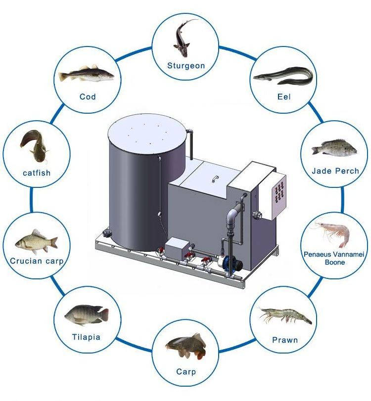 Indoor fish farming ras system aquaculture equipment seafood shrimp farming protein skimmer with ozone generator