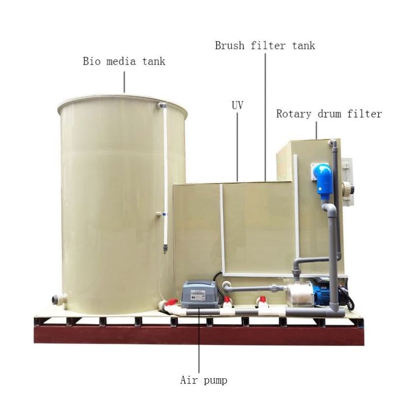 Indoor fish farming ras system aquaculture equipment seafood shrimp farming protein skimmer with ozone generator