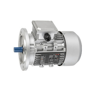 Wholesale Customized Good Quality 0.18-35kw Engine Motor Electrico Electric Motor For Car