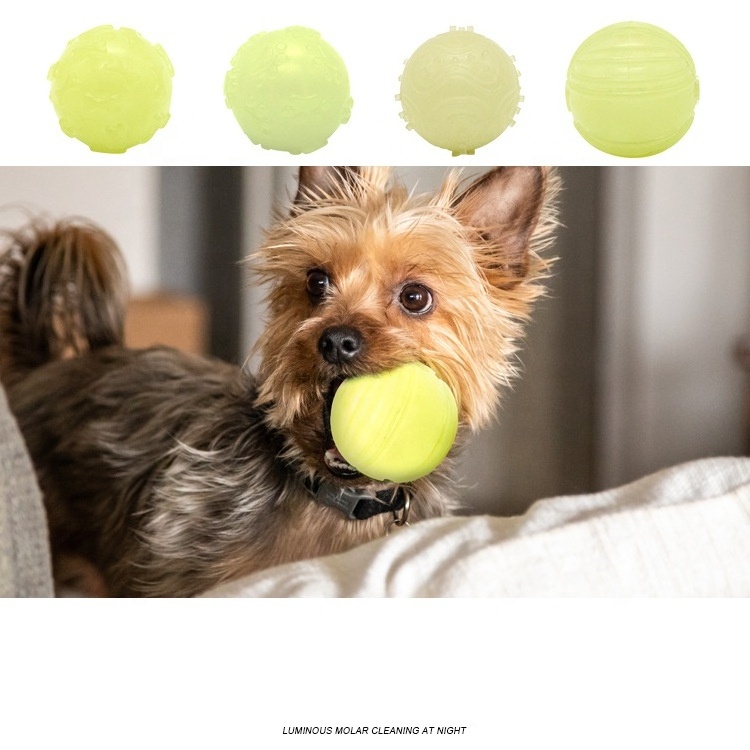 Factory best selling Light Up Squeaky Dog Ball Chew Toy Glow in the dark Bouncing Agility Outdoor Night Dog toy