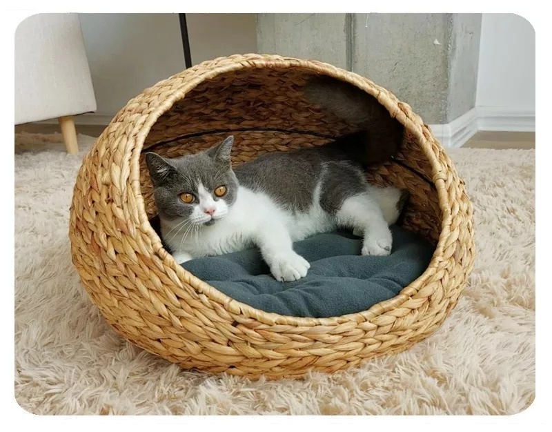 Hot Selling Eco-friendly Cats Basket Pet Product Carrier Gift Basket For Pet Large Wicker Dog Bed