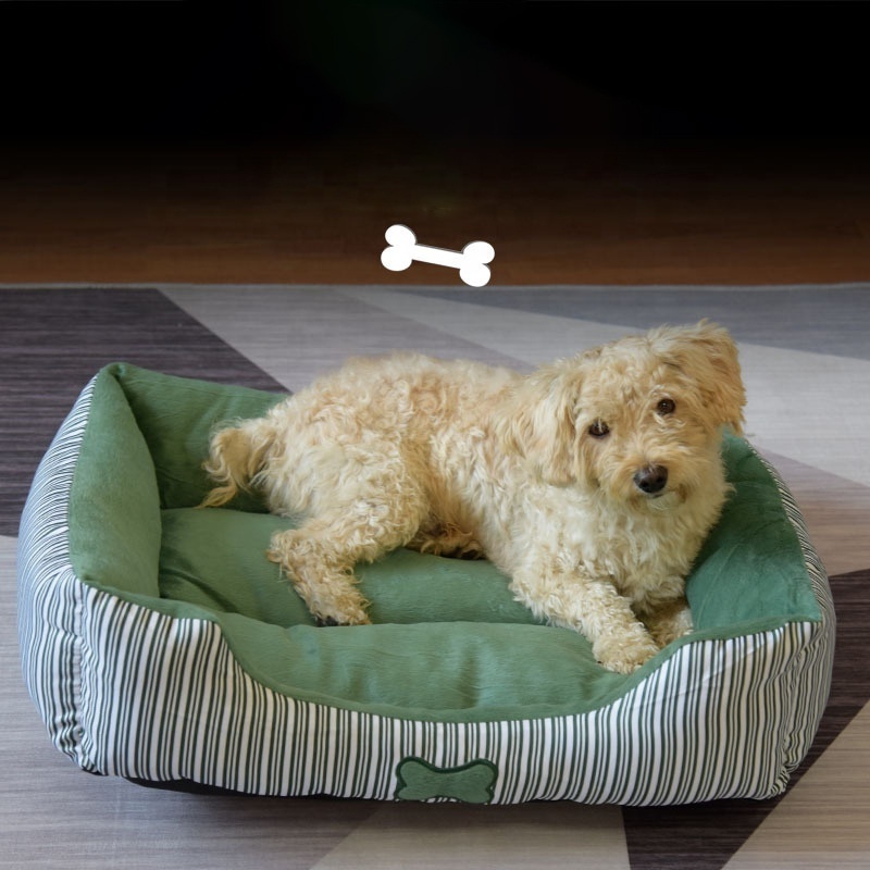 Folding Comfortable Outdoor Travel Pet Cot Dog Bed Large Dog Cot Indoor Raised Outdoor Steel Frame Elevated Pet Bed