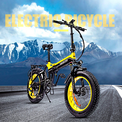 Fat Tire Ebike Foldable Electric Bicycle Electric Bike 1000w Motor 14 AH Lithium Battery Electric City Bike 7 Speed City EBike