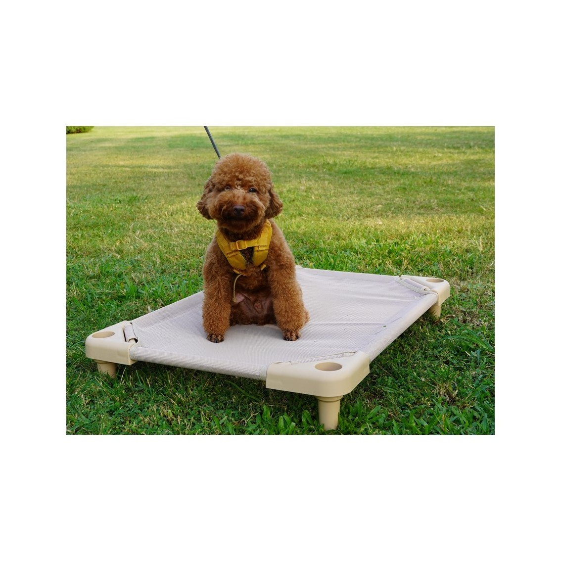 Removable Elevated Large Medium Small Bed Dog Cot