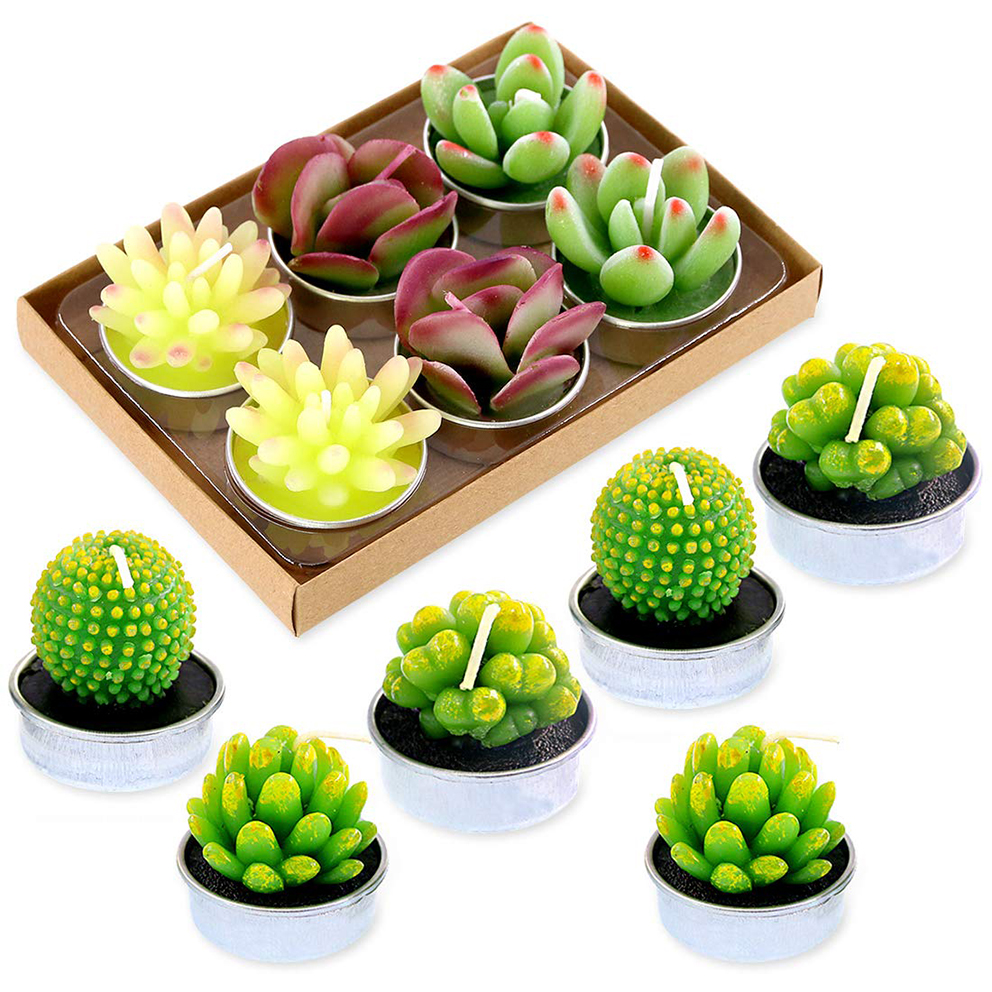 Factory 12 Pcs Decorative Succulent Cactus Tealight Candles Kit Smokeless Succulent Plants Candles for Home Decor Wedding Gifts