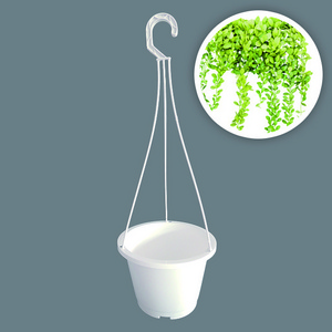 High quality Aiermei L-043 white plastic live plants planting hanging pot with hook Hanging basket container Suspended pot