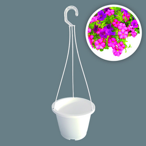 Aiermei L-043 small growing garden succulents DIY white plastic hanging pot with hook