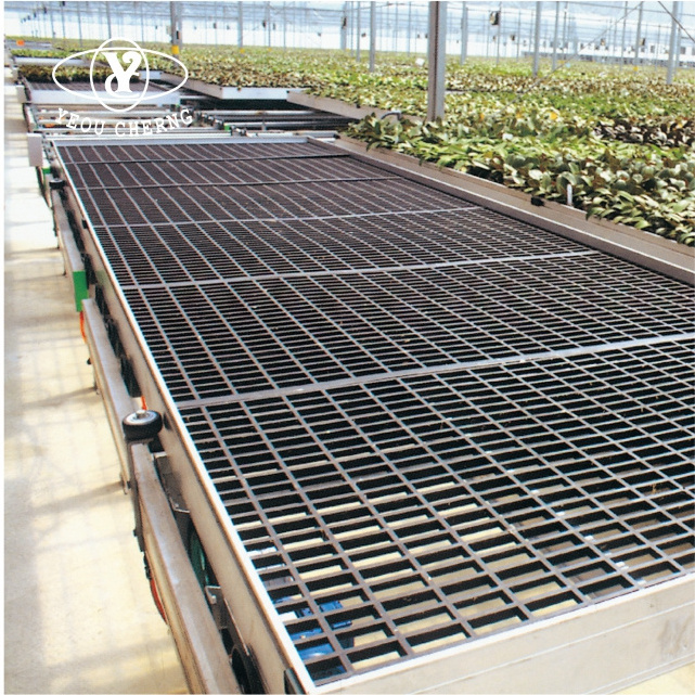 Durable flat panel 4ft x 5ft Greenhouse benches manufacturer seedling tray seedbed with UV protected grow tables