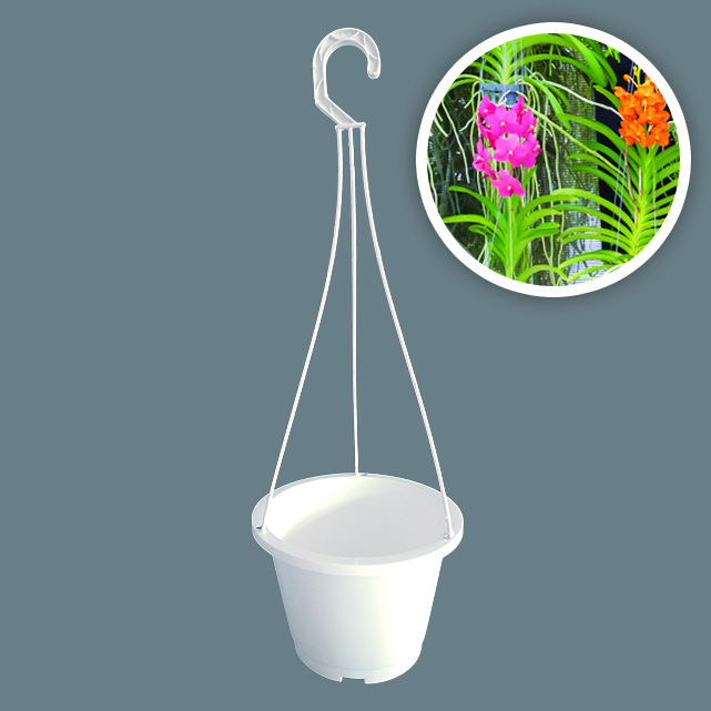 Aiermei L-043 small growing garden succulents DIY white plastic hanging pot with hook