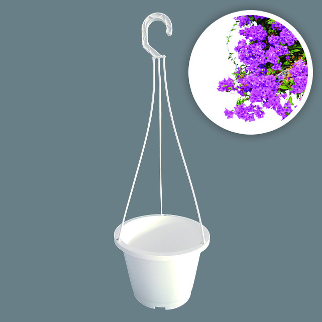 Aiermei L-043 small growing garden succulents DIY white plastic hanging pot with hook