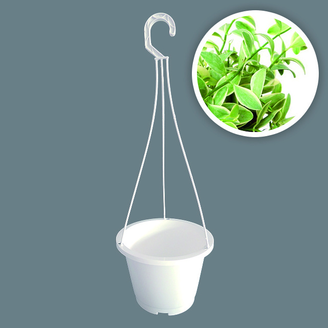 L-043 good sales cheap durable white hanging pots modern home balcony hook on decoration plastic hanging pot