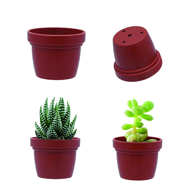 plastic planter for succulents nursery