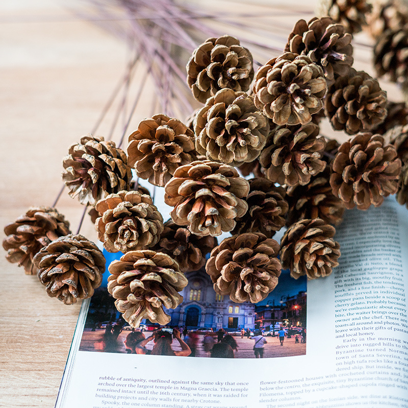 Brown pinecone with a rod - Dried flower plant fruit - Christmas Natural Pine Cones Ornaments for Home Decoration Fall