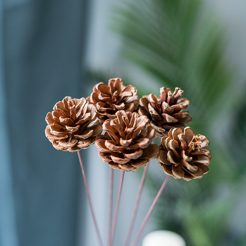 Brown pinecone with a rod - Dried flower plant fruit - Christmas Natural Pine Cones Ornaments for Home Decoration Fall