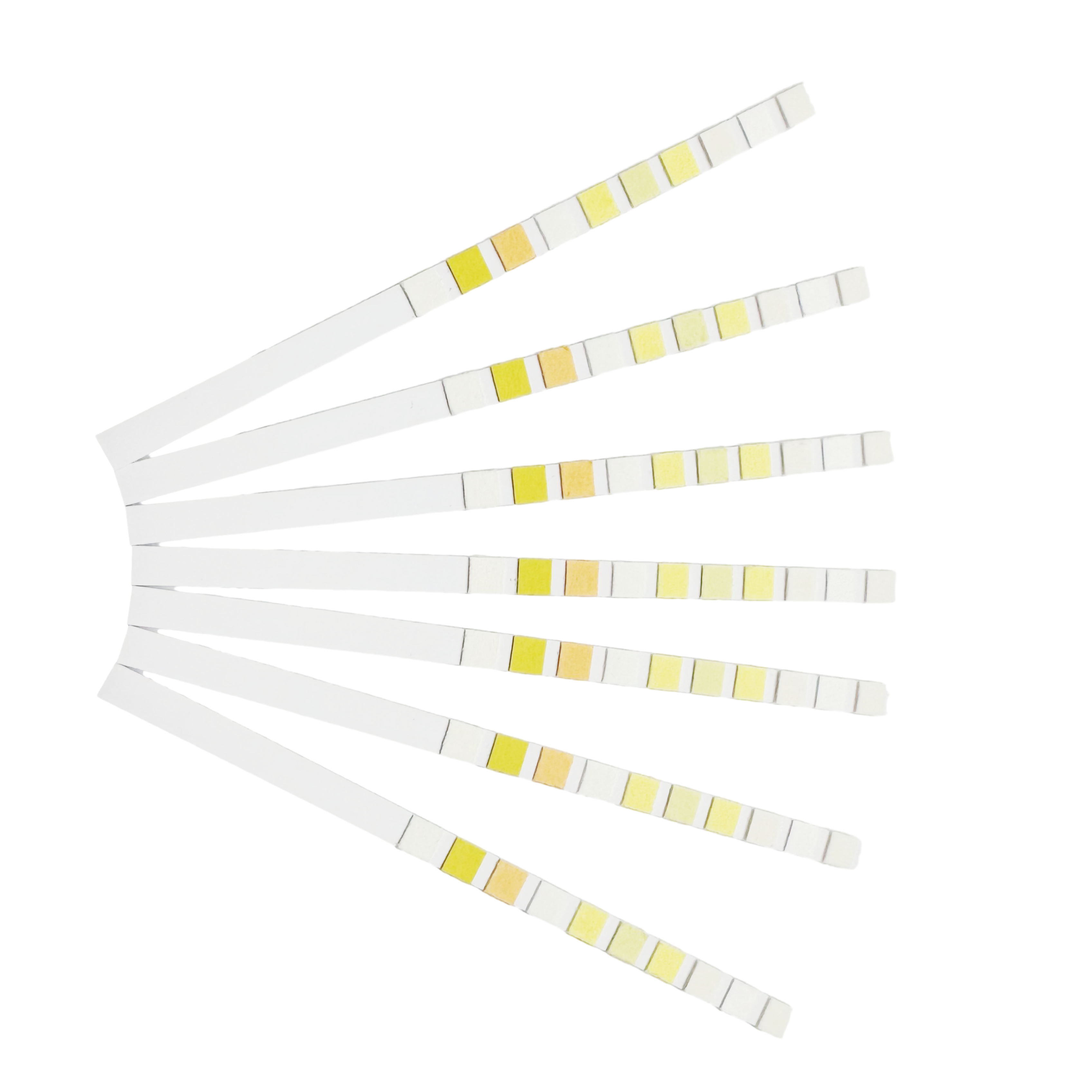 10 parameters Reagent test strips VET-10  for Animal pet urine test strips