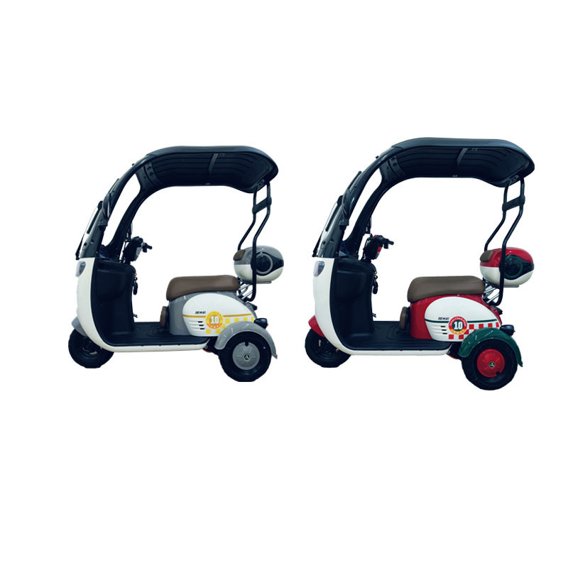 650W passengers 3 wheel electric motorcycle pedal rechargeable scooter bicycle roof 2 seat cargo electric tricycle china