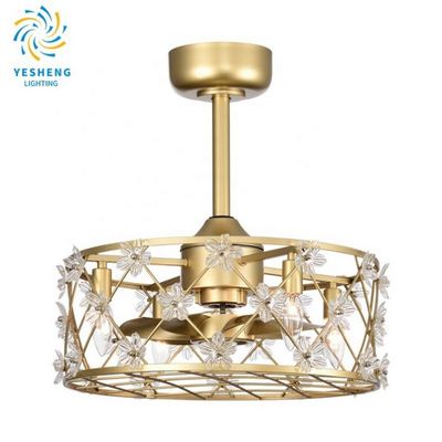 D057 chandelier ceiling fan with light with remote 48cm 3 color  Simplicity fan chandelier