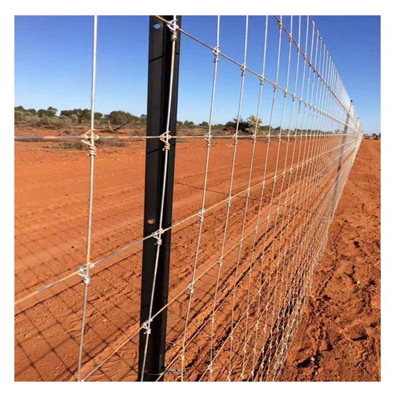 warp-around grassland fence weaving net zinc electric reed rtight lock mesh deer fence